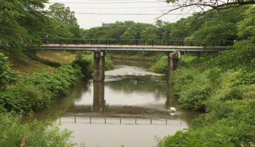 【築山】お散歩で思わぬ出会い