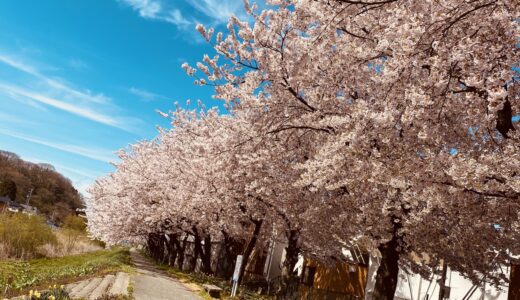 【寺内小】PR大使終わりました