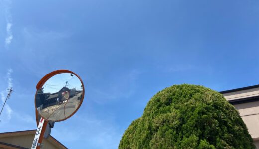 【八橋】春のお散歩日和