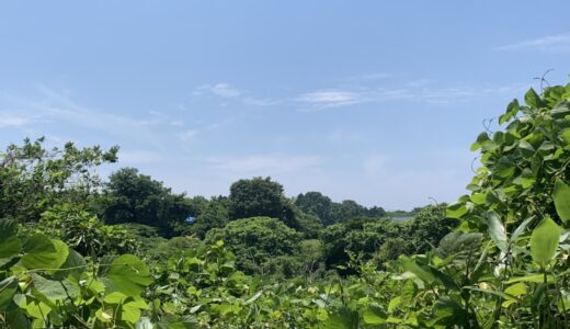 【寺内小】寺内遺跡探訪①～秋田城跡を中心に練り歩く～
