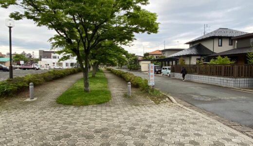 【保戸野】ハミングロード草刈り