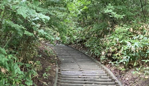 【築山】大名たちの歩みはここに？（宣伝有）
