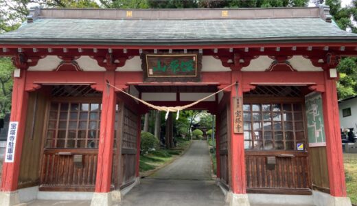 【八橋】森にたたずむ秋田県指定文化財