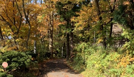【寺内小】紅葉を見にお散歩へ