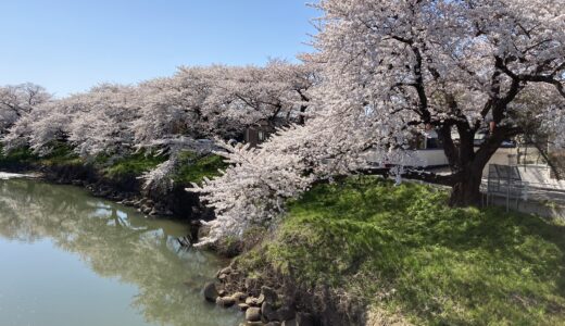 【築山】秋田市を代表する川・太平川