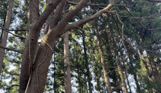 【川尻】３代目川尻地区PR大使になりました！